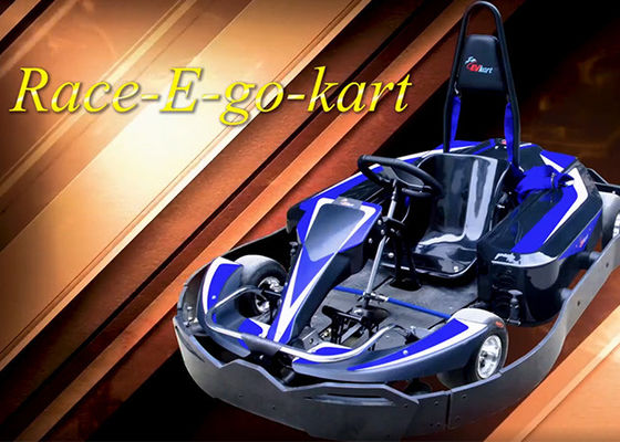 Entertainment Park Mini Racing Go Karts 4KW Eco Friendly