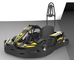 CE Professional Electric Racing Gokart With Max 75km/h
